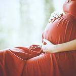 Tao Acupuncture - photo 2