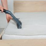 Concise Pest Control - photo 3