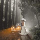 Sunshine Coast Wedding Photographer - Wedding Hair, Beauty & Make-Up in Orosi