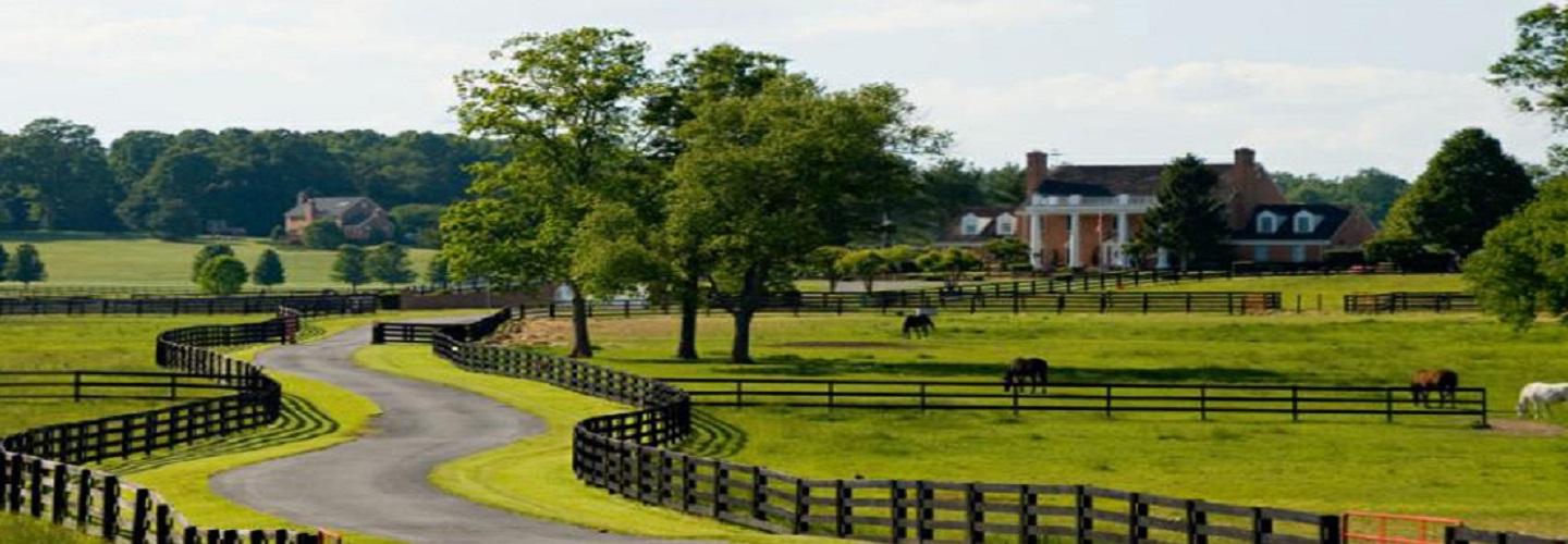 Toby Beavers Realtor cover photo