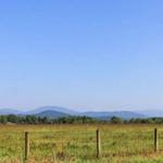 Toby Beavers Realtor - photo 1