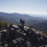 Toby Beavers Realtor - photo 6