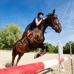 First Choice Equestrian - photo 1