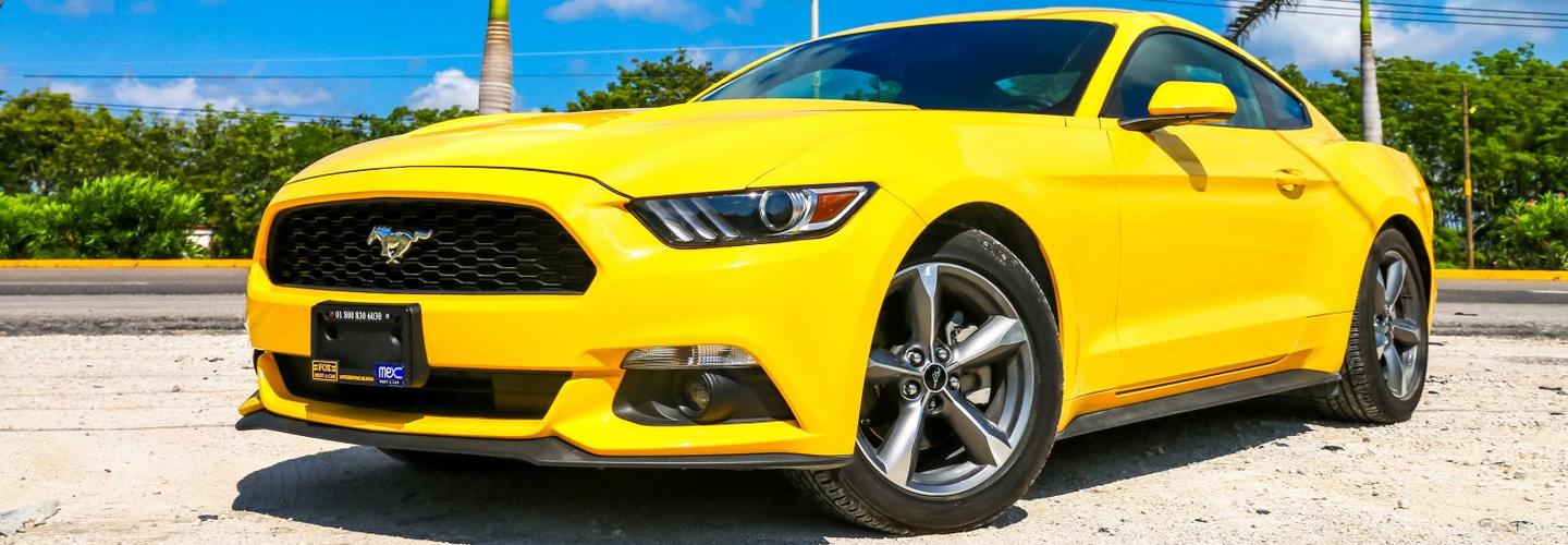 Chaney's Auto Body Shop cover photo