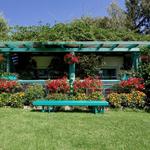 A1 Pergolas Wollongong - photo 10