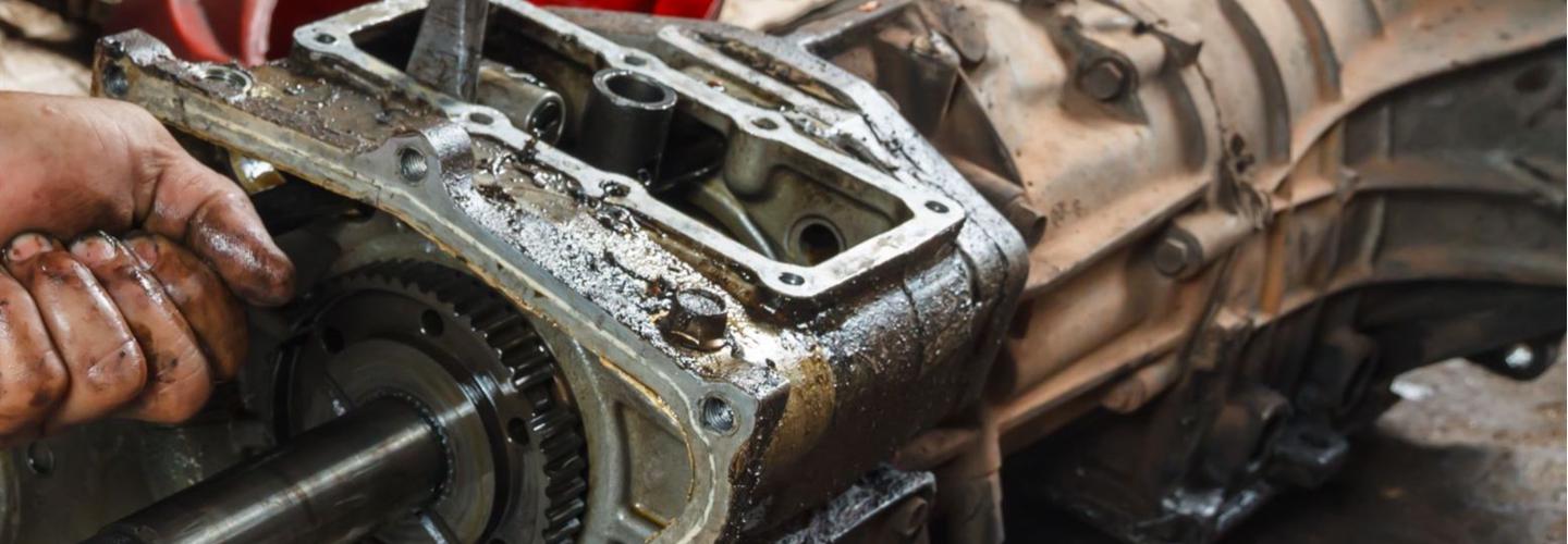 Vibration Dynamics cover photo