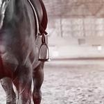 Timber Valley Ranch - photo 2