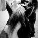 Timber Valley Ranch - photo 3