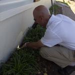 Universal Pest Control - photo 3