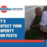 Universal Pest Control - photo 9
