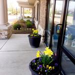 Wise Dental Care - photo 10