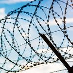 Rapid Riverside Fence Company CA - photo 2