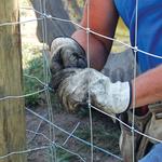 Rapid Riverside Fence Company CA - photo 7