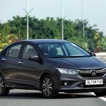 Blue Dove, Inc - photo 8