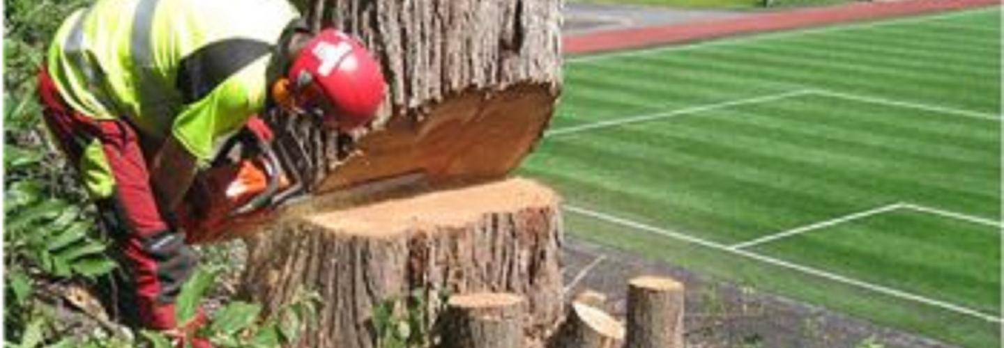 Hjo Trädfällning cover photo