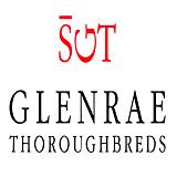 Glenrae Thoroughbreds - Pet/Animal Breeders in Lower Belford