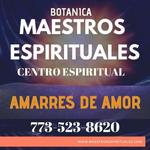Maestros Espirituales - photo 8