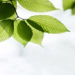 Dave's Central Carpet Care LLC - photo 3