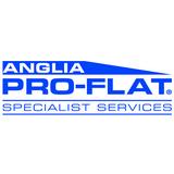 Pro-Flat Specialist Services Ltd - Scaffolding
