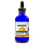 Magnascent - photo 1