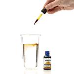 Magnascent - photo 2