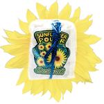 Scenteffects - Best Air Freshener Scent for Car - photo 4