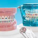 Monmouth-Ocean Orthodontics - photo 3
