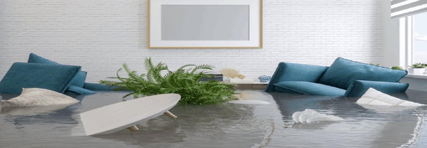 Anthony Restoration of Gainesville cover photo