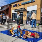 BARE Chiropractic - photo 2