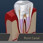 Radix Dentistry - photo 2