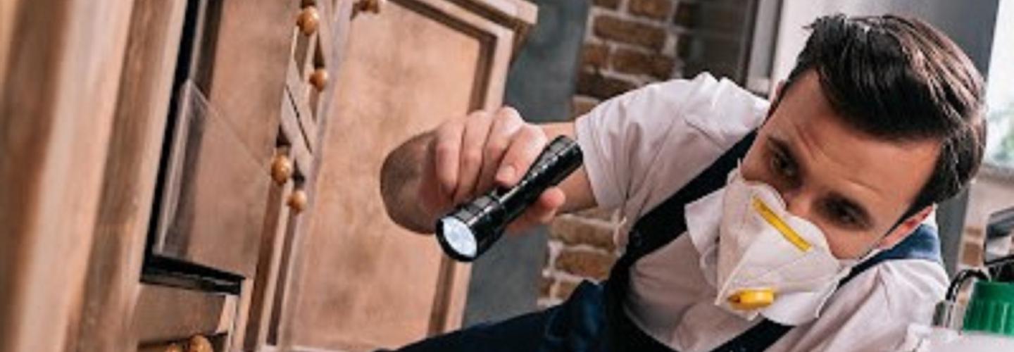 Santa Ana Pest Control Experts cover photo