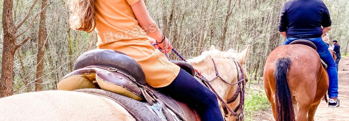 HorsesSaddle cover photo