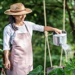 Plenty Mowers - photo 1