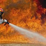 Armstrong Water Mold Clean Up - photo 1