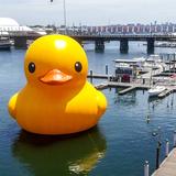 Greenbox - Financial Services in Sydney