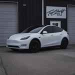 Top Shelf Tint - photo 3