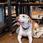 PorchLight Cyber Security - photo 5