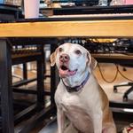 PorchLight Cyber Security - photo 6