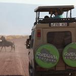 Gondwana Ecotours - photo 5