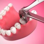 Hillsborough Prime Dental - photo 3