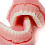 Hillsborough Prime Dental - photo 5