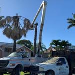 Smart Choice Tree Services - photo 1