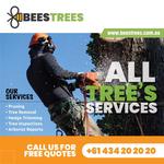Bees Trees - photo 1