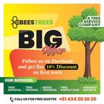 Bees Trees - photo 2