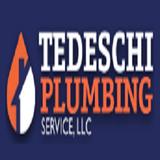 Tedeschi Plumbing Services - Plumbing in Allison