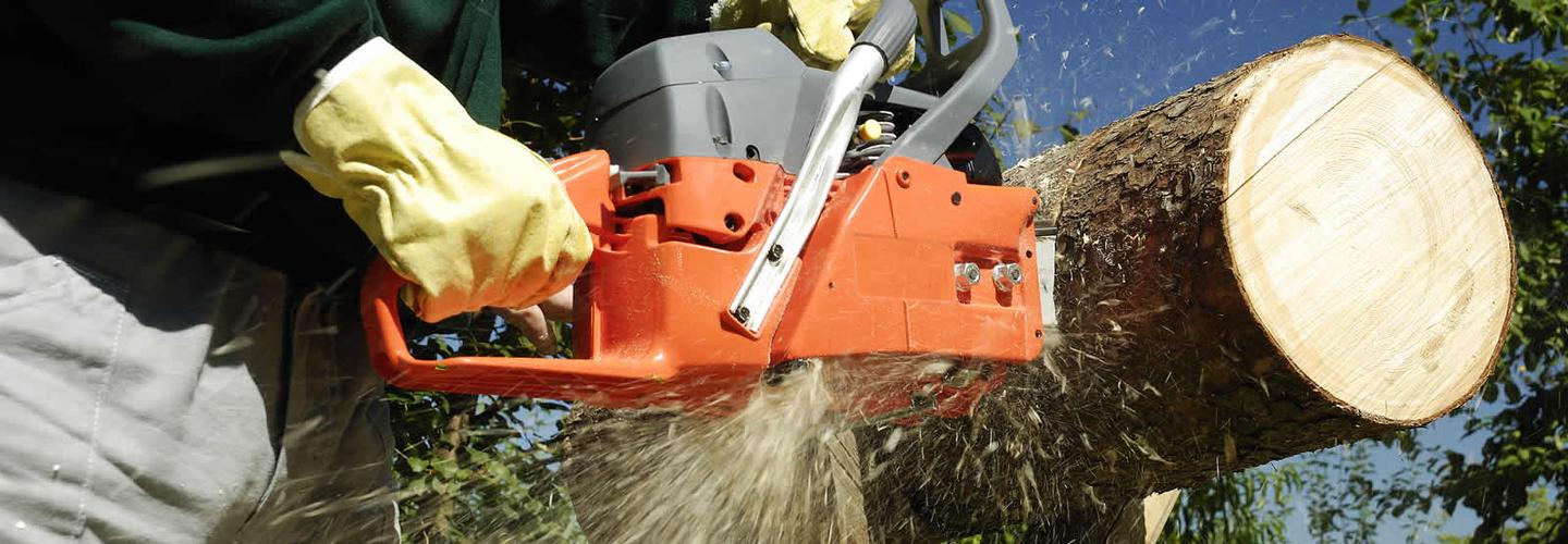 Southern Roots Tree Care cover photo