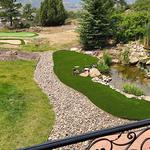 Florida Turfin' - photo 1