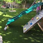 Florida Turfin' - photo 5