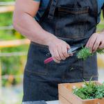 Lifted Fine Cannabis Boutique Dispensary - photo 1