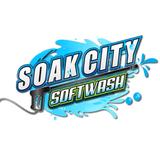 Soak City Softwash LLC - Decks, Patios & Railings in Troy